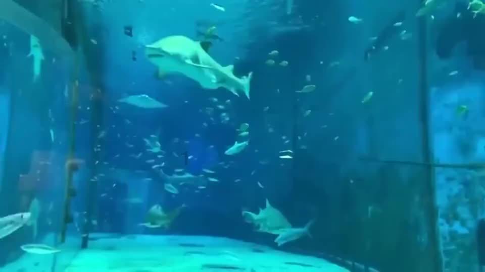 轻松逃生