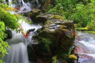 贵州黔西南:让振兴的风拂遍乡村沃野