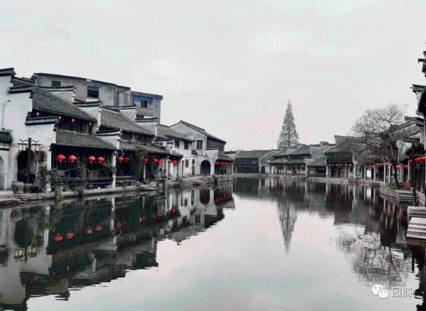 春雨直播app